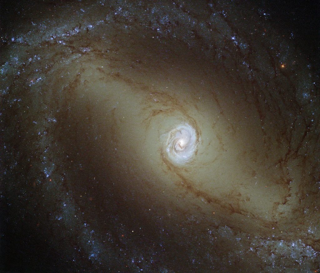 Au centre la galaxie de Seyfert NGC 1433 entourée d'un halo brillant