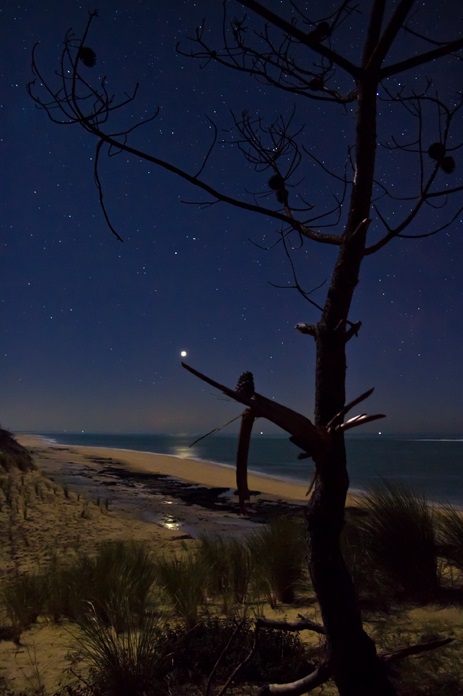 Photo Vénus, l'étoile du Berger se reflète dans la mer.