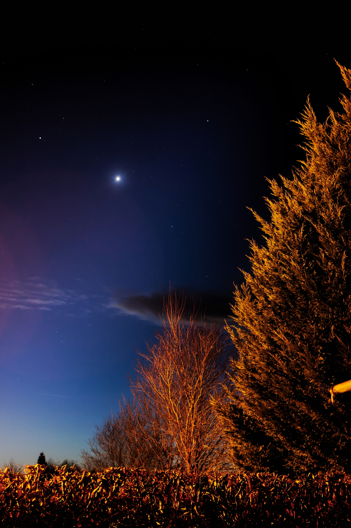 Photo of Venus shining at dusk