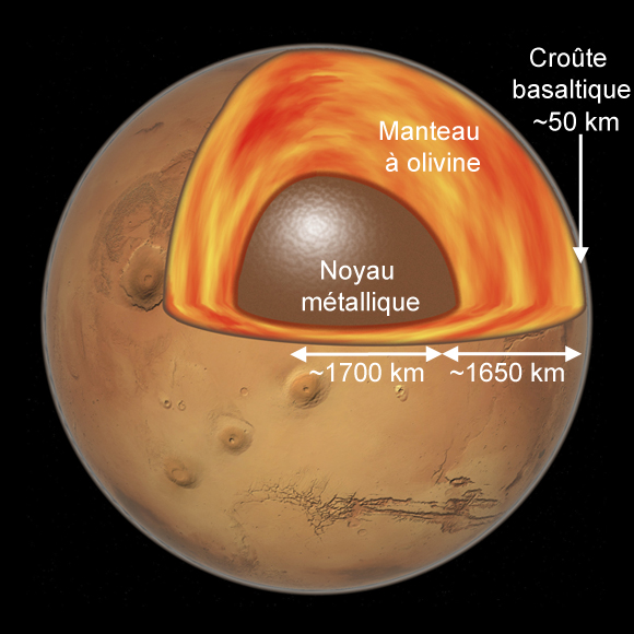 Schéma en coupe de la structure interne de Mars: on y voit le noyau, le manteau et une croute, le tout dessiné dans les tons marron et rouge.