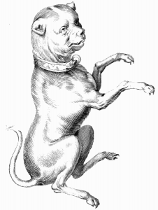 Figure mythologique du Petit Chien