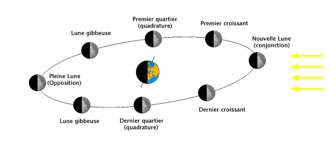 Schéma représentant la Terre au centre et la Lune à différentes étapes de sa période de révolution autour de la Terre : l'éclairage par le Soleil et sa révolution font que l'ombre de la Terre s'y projette et crée les phases pleine Lune, nouvelle Lune, croissants, quartiers...