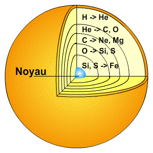 Schéma de la structure en pelure d'oignon d'une étoile massive où l'on voit la coupe d'une sphère orange (l'étoile), avec différentes sphères concentriques, chacune comportant un élément chimique.
