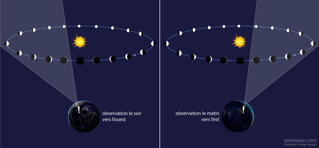 Illustration montrant ce qu'un observateur peut voir des phases de Mercure suivant qu'il regarde le soir ou le matin. Les phases de la planète changent suivant sa position sur son orbite.