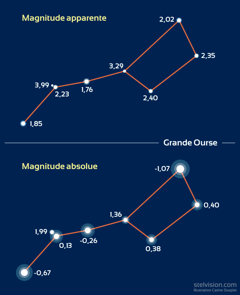 Représentation de la constellation de la Grande Ourse avec les valeurs de magnitude et l'aspect équivalent pour chaque étoile. En haut, pour la magnitude apparente, en bas, pour la magnitude absolue.