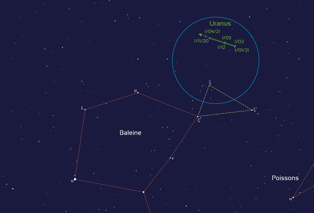 Localisation de la planète Uranus entre novembre 2020 et avril 2021. Le cercle bleu de 6 degrés représente le champ d'une paire de jumelles. La planète se repère à partir de la tête de la Baleine.