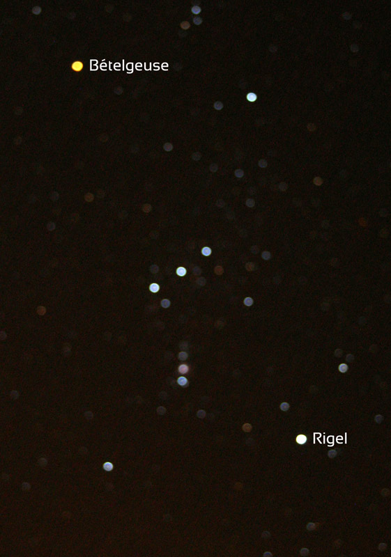 Image floue de la constellation d'Orion qui met en évidence la couleur des étoiles et en particulier le blanc-bleu de Rigel (en bas à droite) et l'orangé-rouge de Bételgeuse (en haut à gauche). 