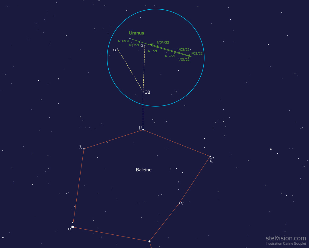 Localisation de la planète Uranus entre septembre 2021 et avril 2022, près de la constellation de la Baleine et des étoiles omicron et sigma Bélier. Le cercle bleu de 6 degrés représente le champ d'une paire de jumelles.