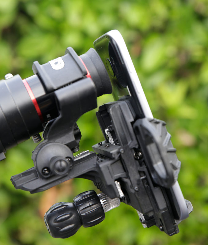 Gros plan sur le positionnement d'un smartphone à l'aide de l'adaptateur universel Celestron, en conditions réelles d'observation.