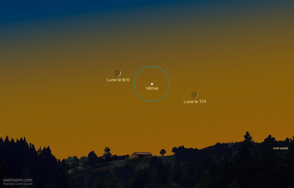 Illustration montrant la position de la Lune en croissant vers le sud-ouest, au dessus de l'horizon, au crépuscule. Le 7 novembre, la lune est à droite de Vénus et le 8 novembre, elle se trouve à gauche de Vénus.