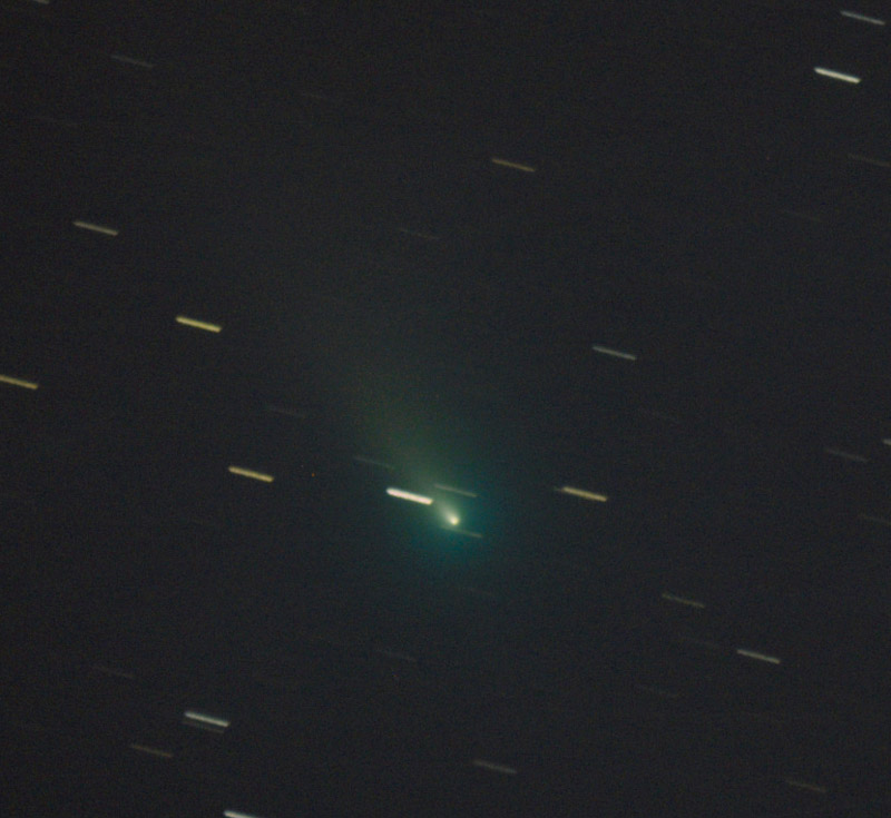 Image de la comète Leonard avec une légère queue de gaz et de poussières de couleur bleu vert, sur fond de filé d'étoiles.