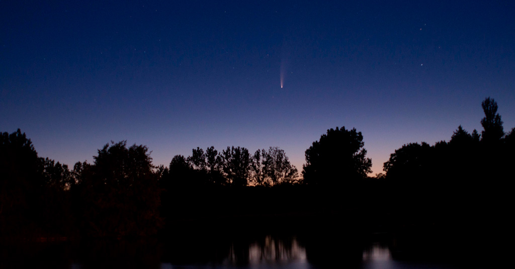 Photo de la comète Neowise en juillet 2020. On voit la comète avec sa queue à la verticale, dans le crépuscule bleu, avec un avant-plan d'arbres avec un étang.