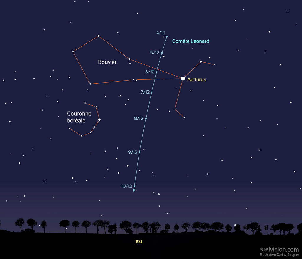 Carte montrant la position de la comète Leonard chaque matin à 6h entre le 4 et le 10 décembre. Les constellations du bouvier et de la Couronne boréale sont indiquées, la comète plonge vers l'horizon de jour en jour. En premier-plan, l'ombre chinoise d'une ligne d'arbres.