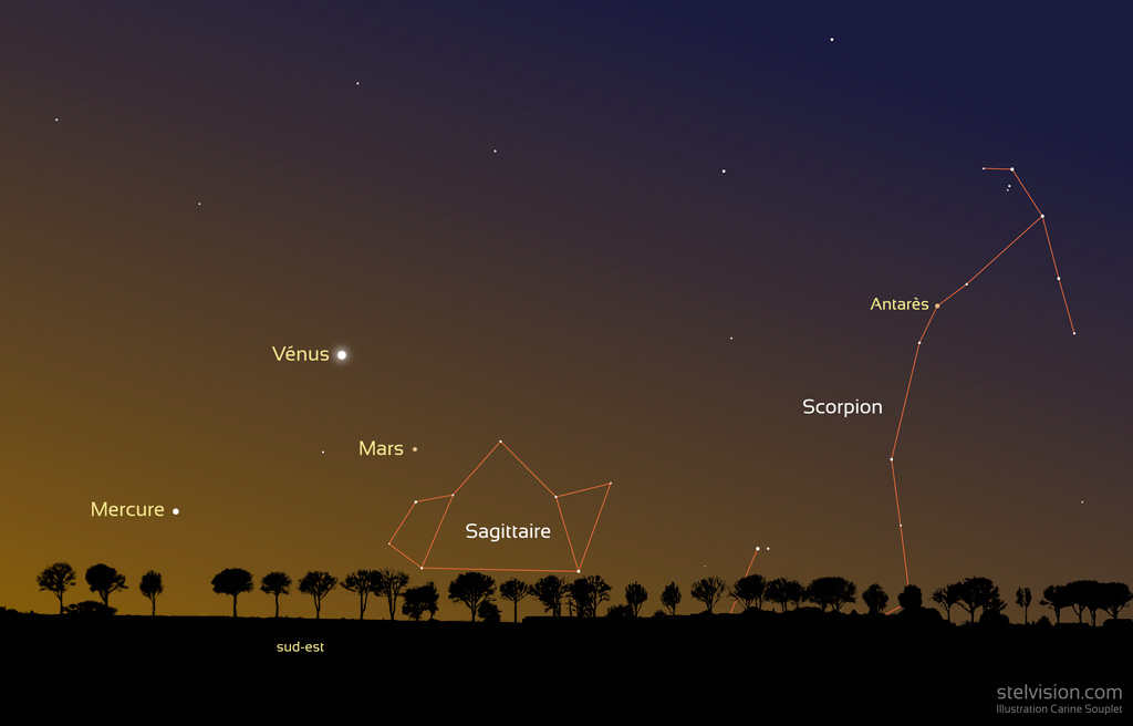 Illustration montrant un ciel d'aurore, en train de s'éclaircir, avec un horizon bien dégagé et une ligne d'arbre en ombre chinoise. On voit à droite les constellations du Sagittaire et du Scorpion avec l'étoile orangée Antarès. A gauche, Vénus est la plus brillante et blanche, en dessous à droite, Mars est la moins lumineuse et orangée, et en bas à gauche de Vénus, Mercure est de luminosité intermédiaire et blanche.