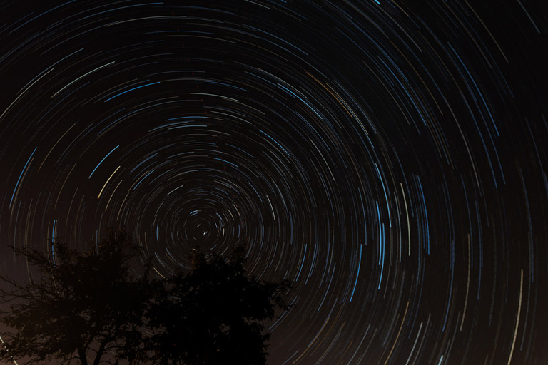 Filé d'étoiles dû à la rotation de la Terre, centré sur l'étoile polaire on y voit un arbre en premier plan