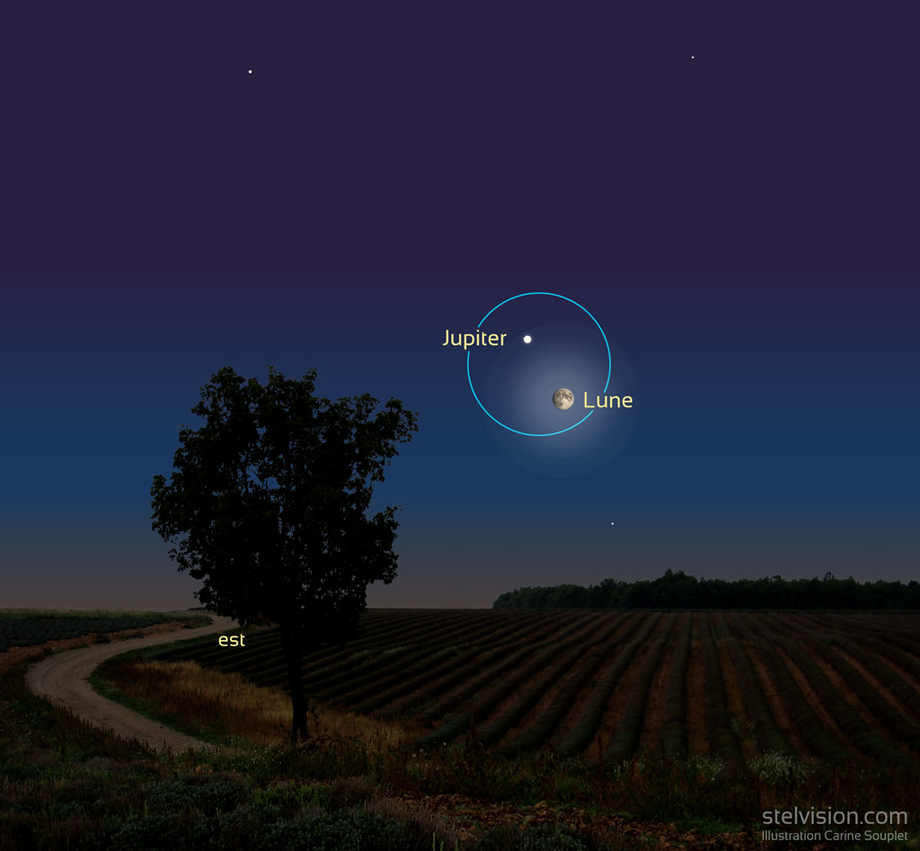 Illustration montrant la Lune située sous la planète Jupiter, pas très haut au dessus de l'horizon est vers 20h le 8 octobre alors que la nuit tombe. Au premier-plan se trouve un arbre et un chemin sinueux entouré de lavandes.