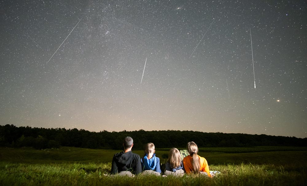 Image montrant deux adultes et deux enfants allongés dans l'herbe, qui regardent le ciel nocturne où passent des étoiles filantes.