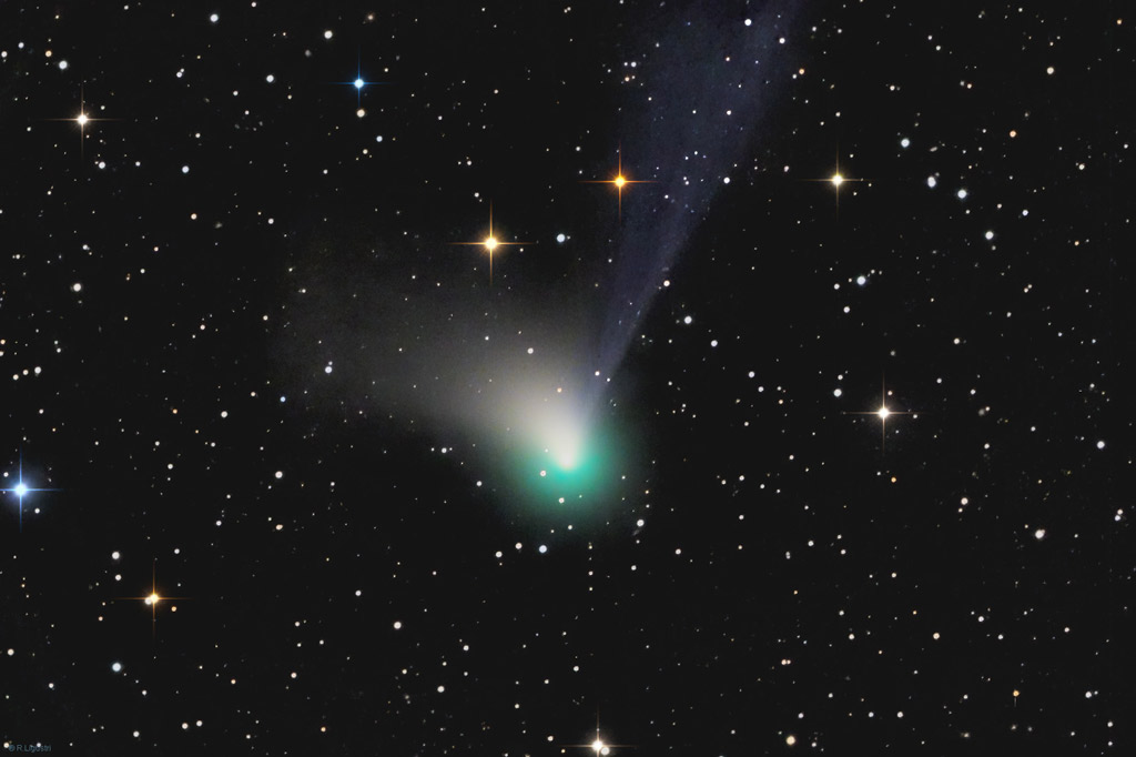 La comète C/2022 E3 (ZTF) photographiée sur un fond de ciel étoilé. On remarque que la queue de poussière blanchâtre est bien distincte de la queue de gaz bleutée.