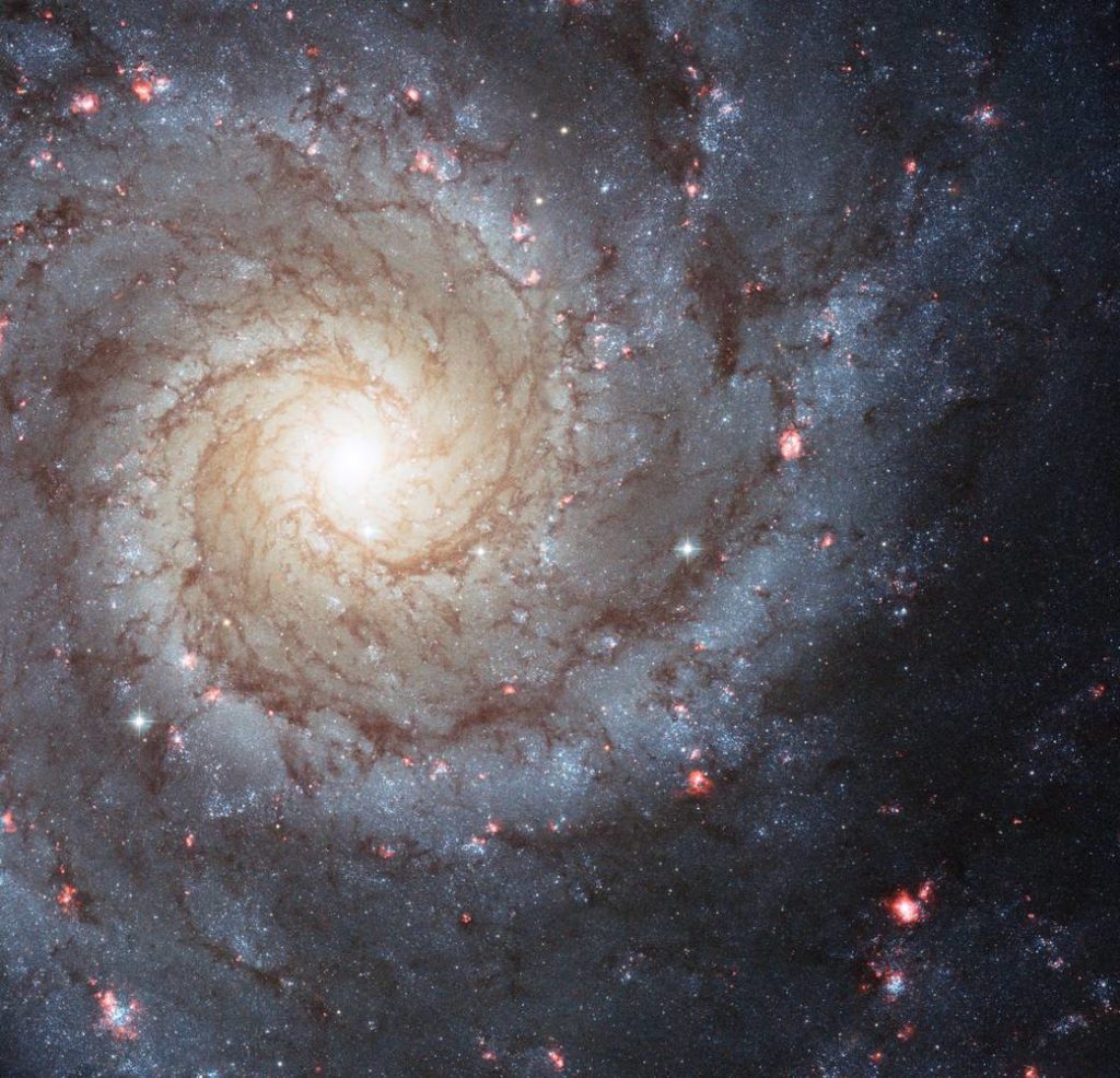 Une galaxie spirale vue de face pour bien distinguer les différents bras.