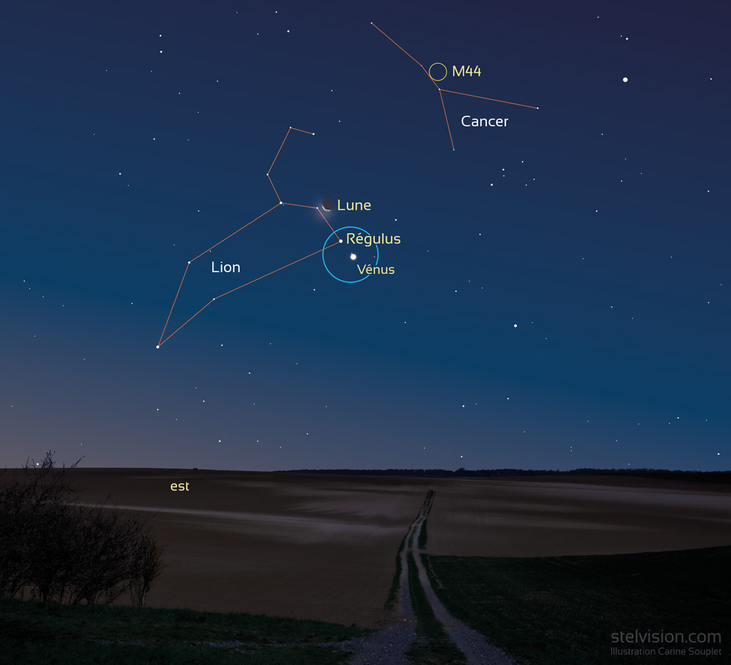 Illustration montrant un ciel juste avant l'aube, en train de s'éclaircir à l'est. On voit les constellations du Lion et du Cancer. Près de Régulus qui marque les pattes avant du Lion, se trouve Vénus et un peu au-dessu, la Lune en fin croissant avec la lumière cendrée. Un cercle Bleu entoure Régulus et Vénus. Le premier plan est un paysage de plaine avec un chemin et quelques buissons à gauche.