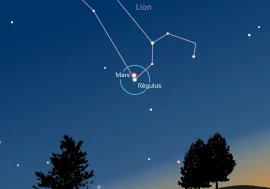illustration Mars et Régulus : suivez leur curieux tandem bicolore le 17 juin 2025 (copyright Stelvision)