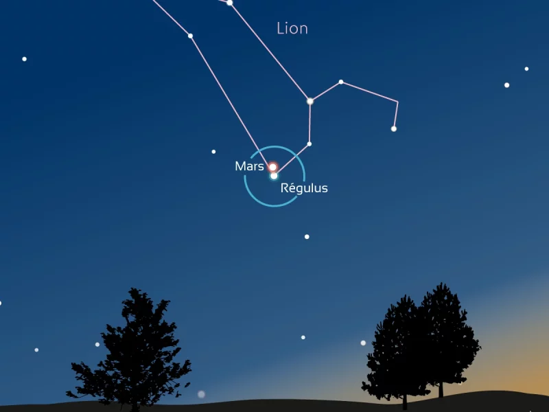 Mars et Régulus : suivez leur curieux tandem bicolore !