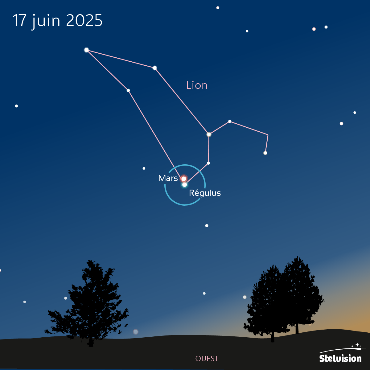 illustration Mars et Régulus : suivez leur curieux tandem bicolore le 17 juin 2025 (copyright Stelvision)