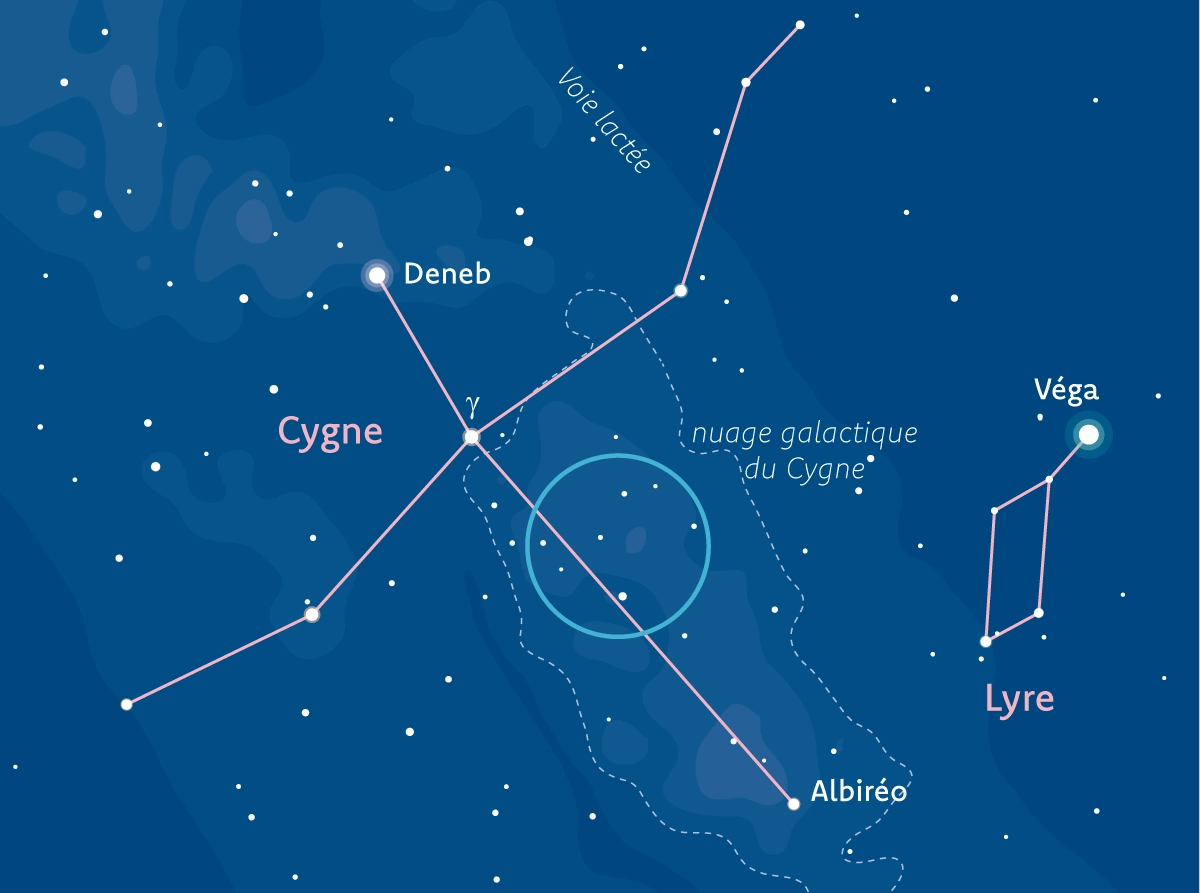 La Voie lactée et des myriades d’étoiles dans le Cygne