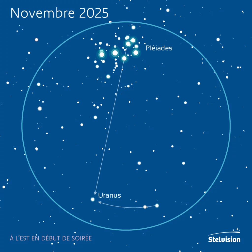 carte de repérage d'Uranus au voisinage des Pléiades, valable pour novembre 2025 (la position d'Uranus est exacte pour le 15 novembre). Carte : Bertrand d'Armagnac / Stelvision.