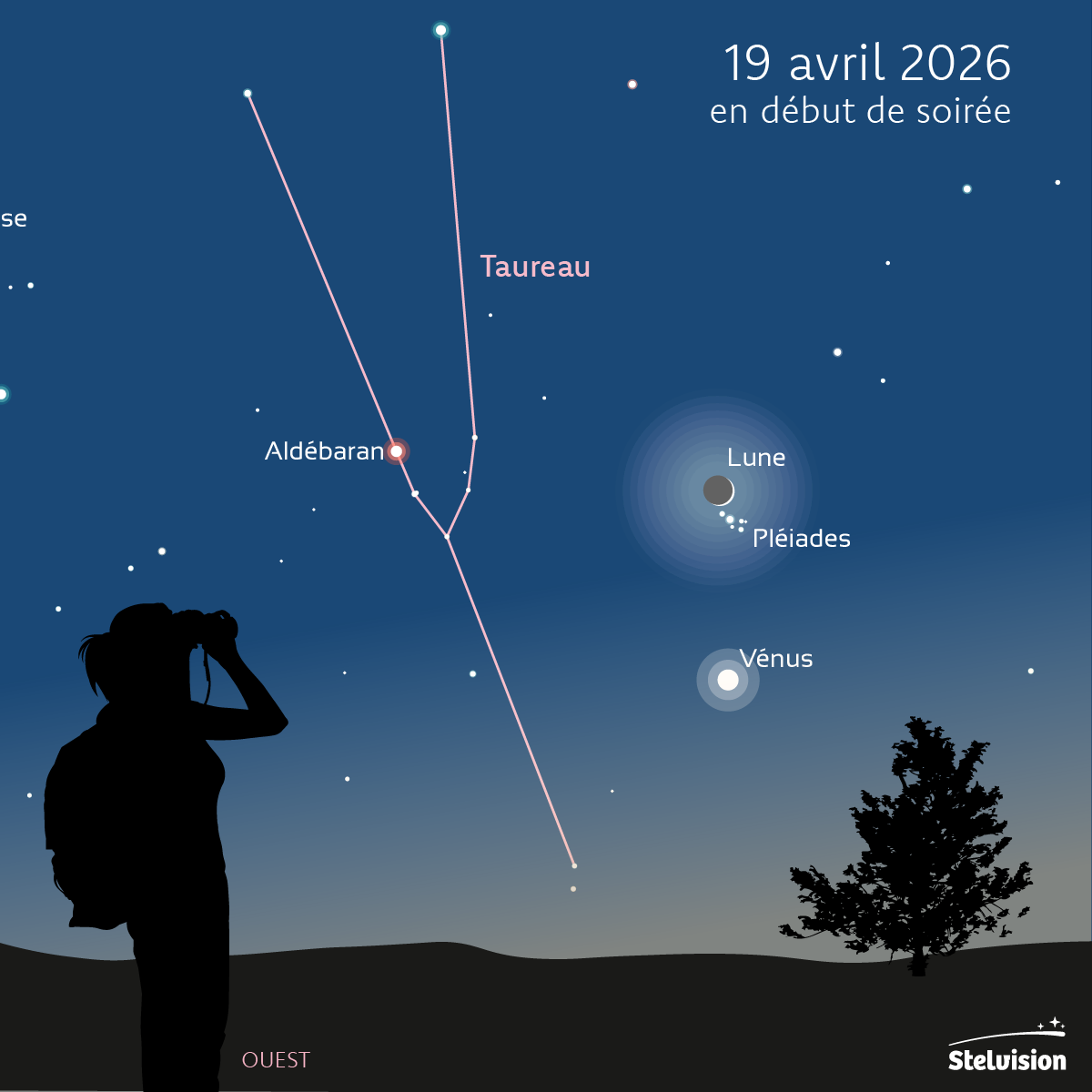 Un fin croissant de Lune fr&ocirc;le l&rsquo;amas des Pl&eacute;iades