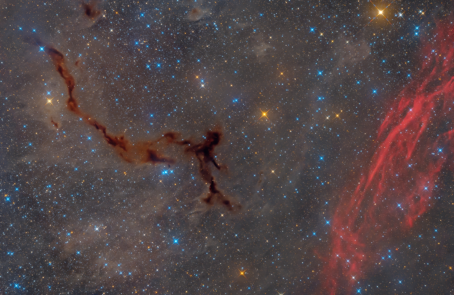 Photo La femme qui marche dans l'espace