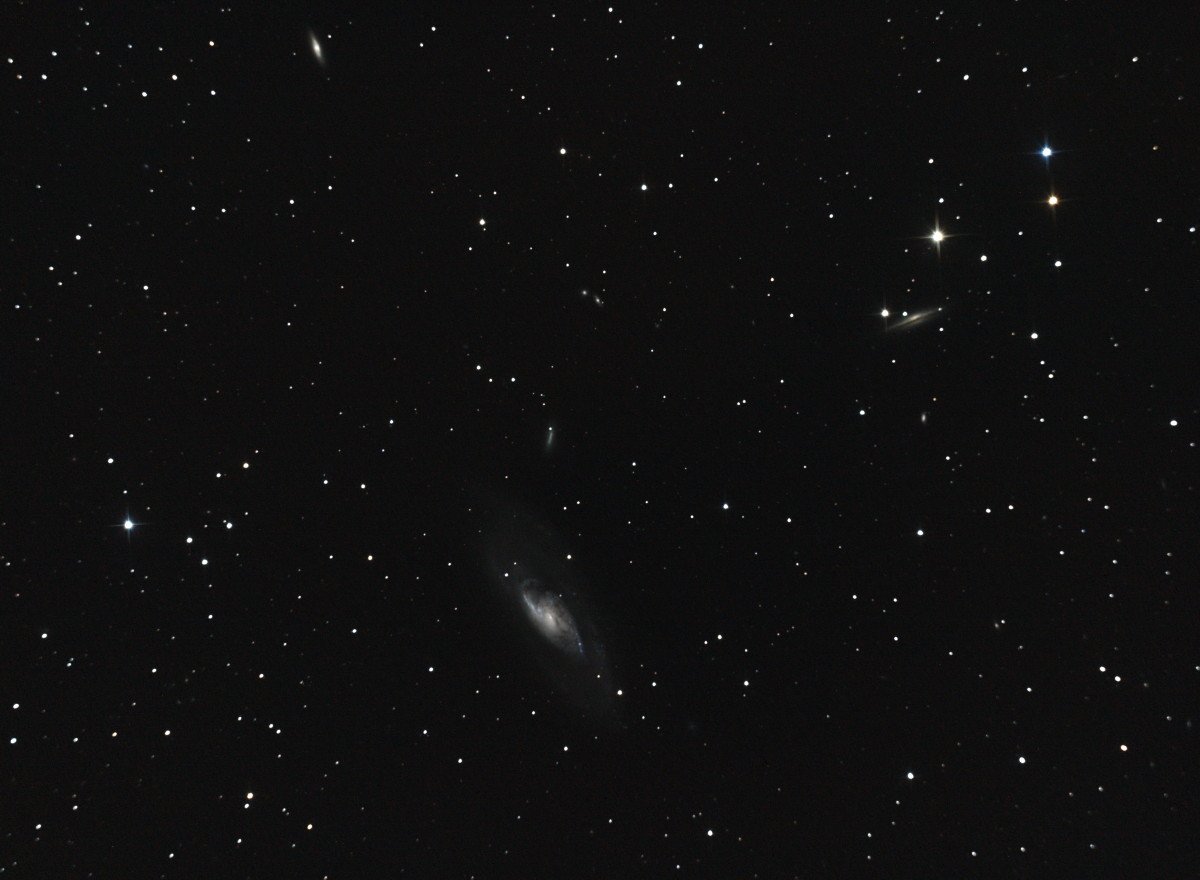 M106, galaxie spirale dans les Chiens de chasse