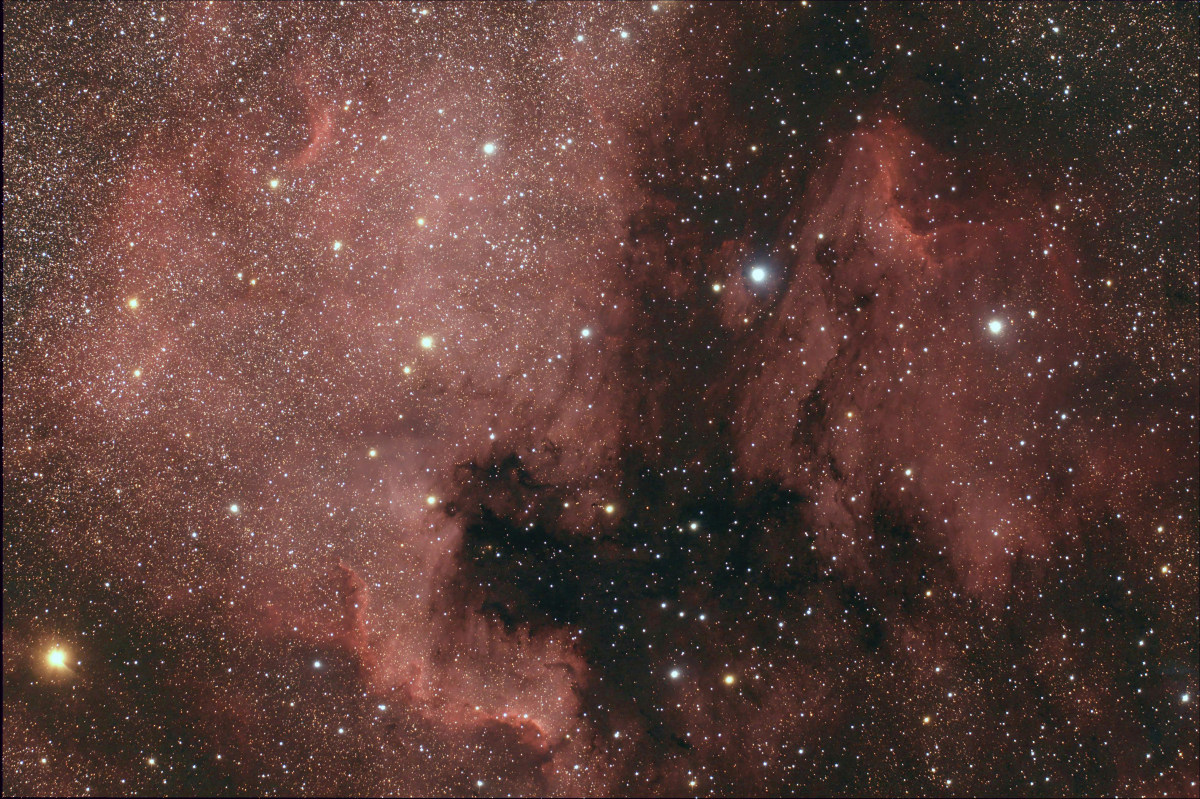 Nébuleuses North America (NGC 7000) et du Pélican (IC 5067 et IC 5070)