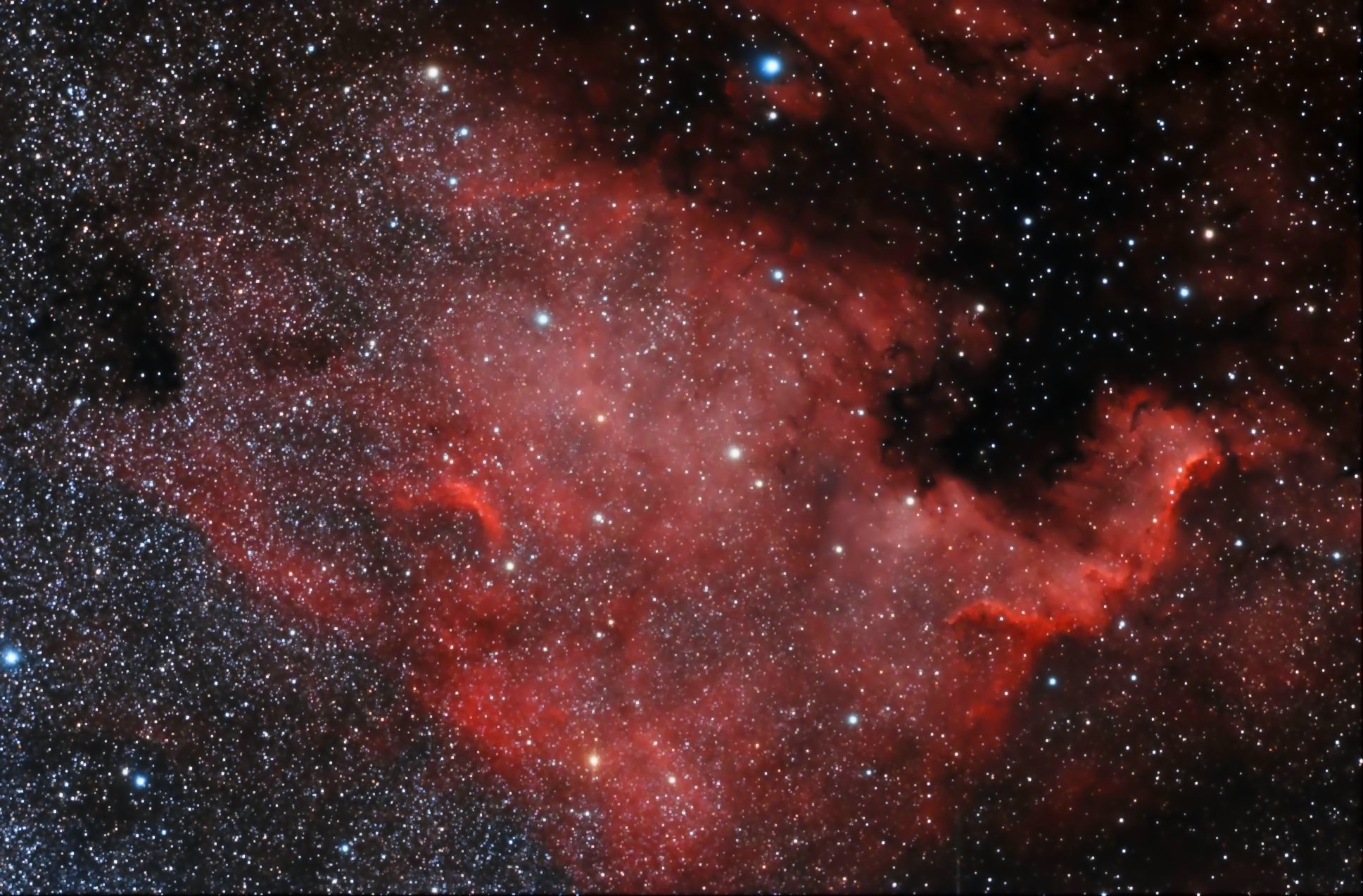 NGC 7000 - Nébuleuse de l'Amérique du Nord