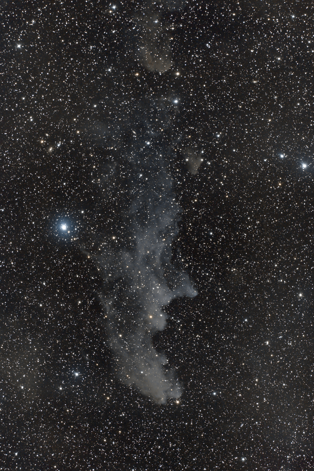 IC 2118, nébuleuse de la Tête de Sorcière