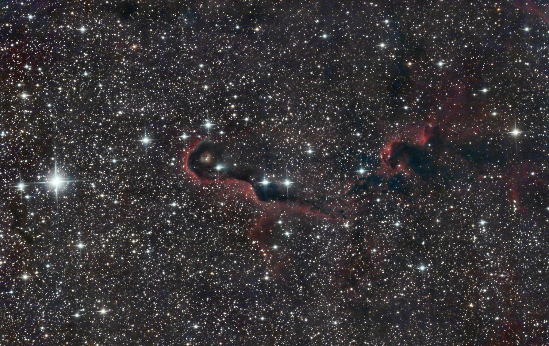 IC1396 La Trompe