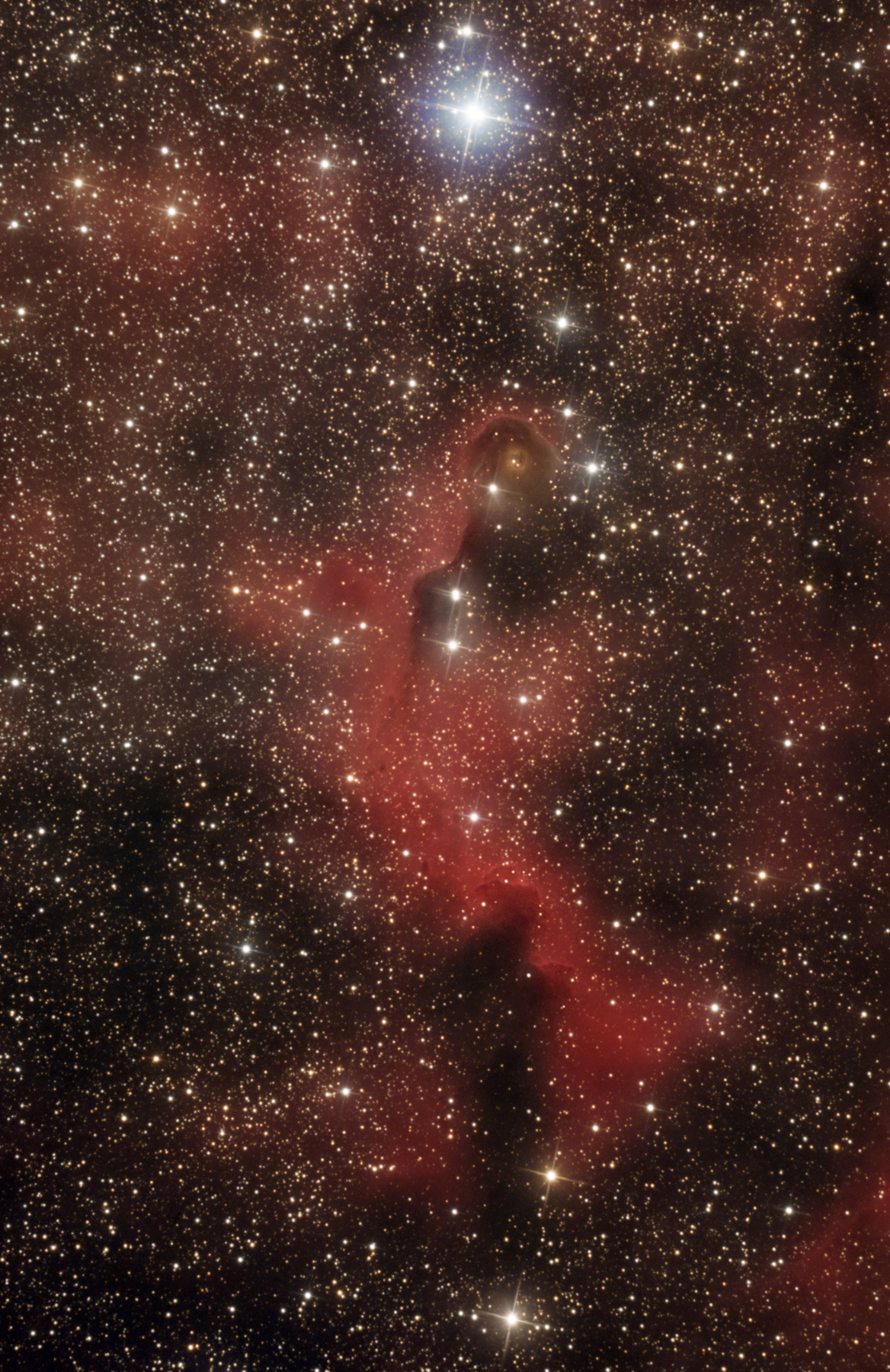 IC1396 La nébuleuse de la Trompe