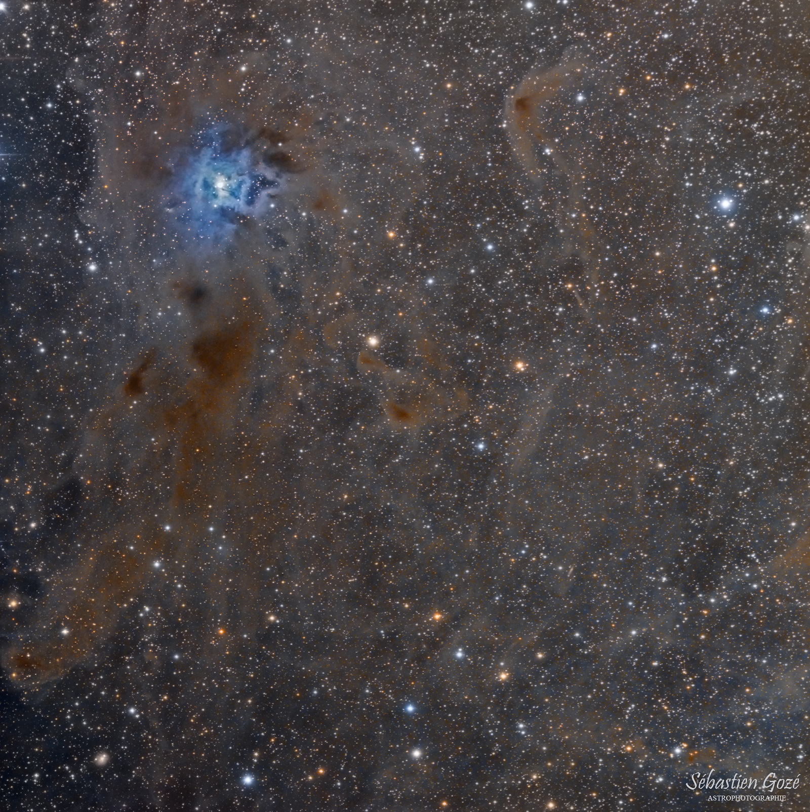 La nébuleuse de l'iris NGC7023