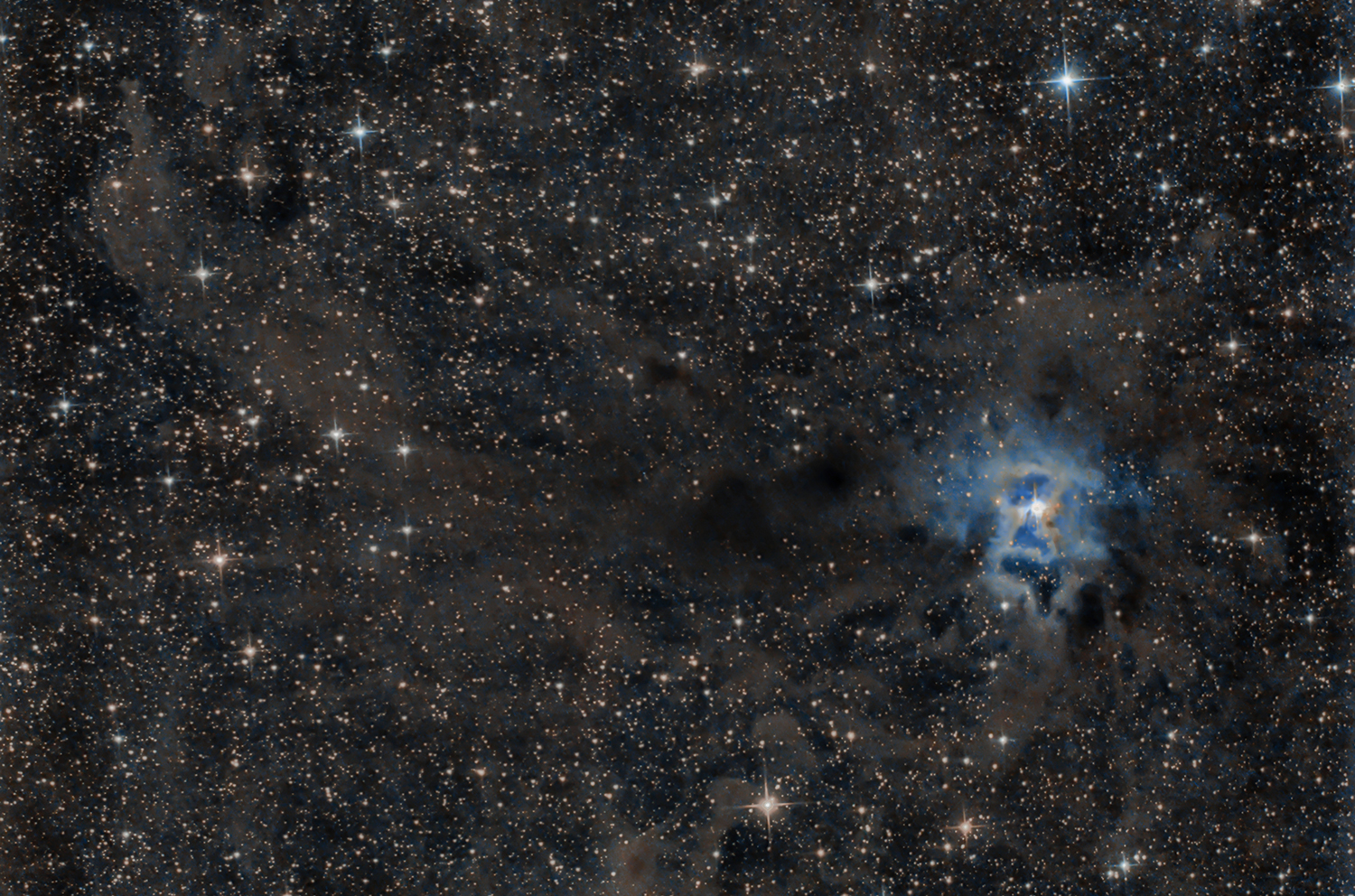La nébuleuse de l'iris NGC 7023