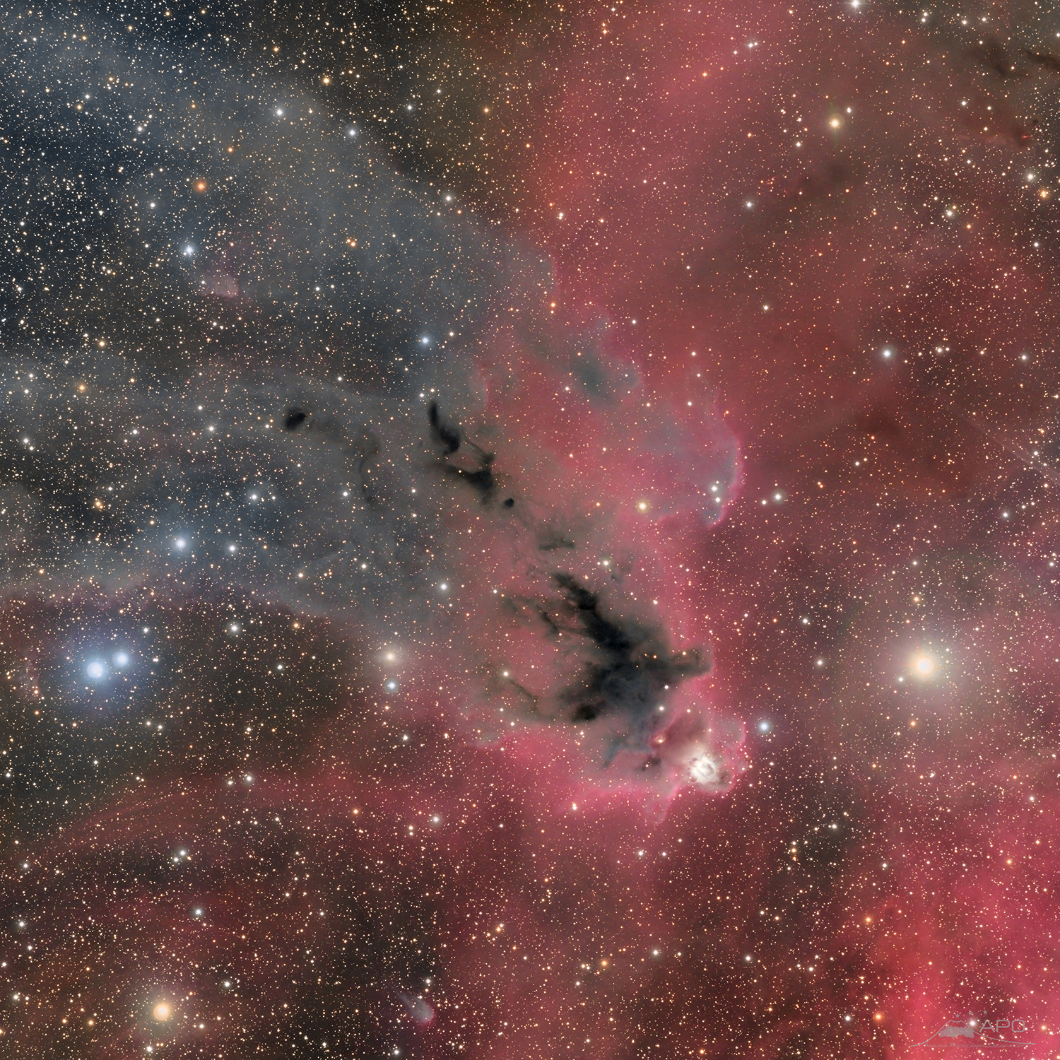 LDN1622 dans Orion