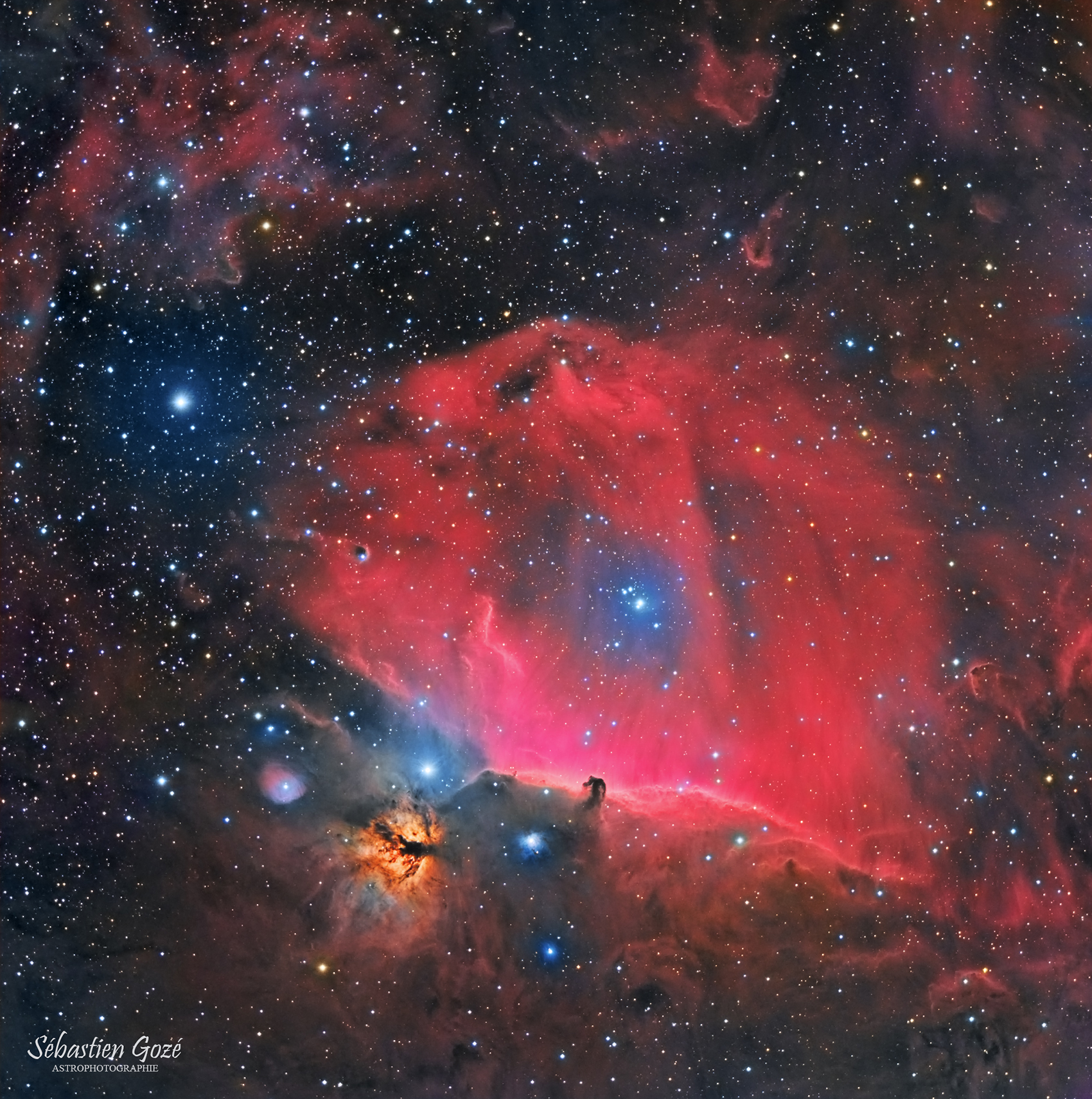 IC 434 - La nébuleuse de la tête de cheval - HaRVB