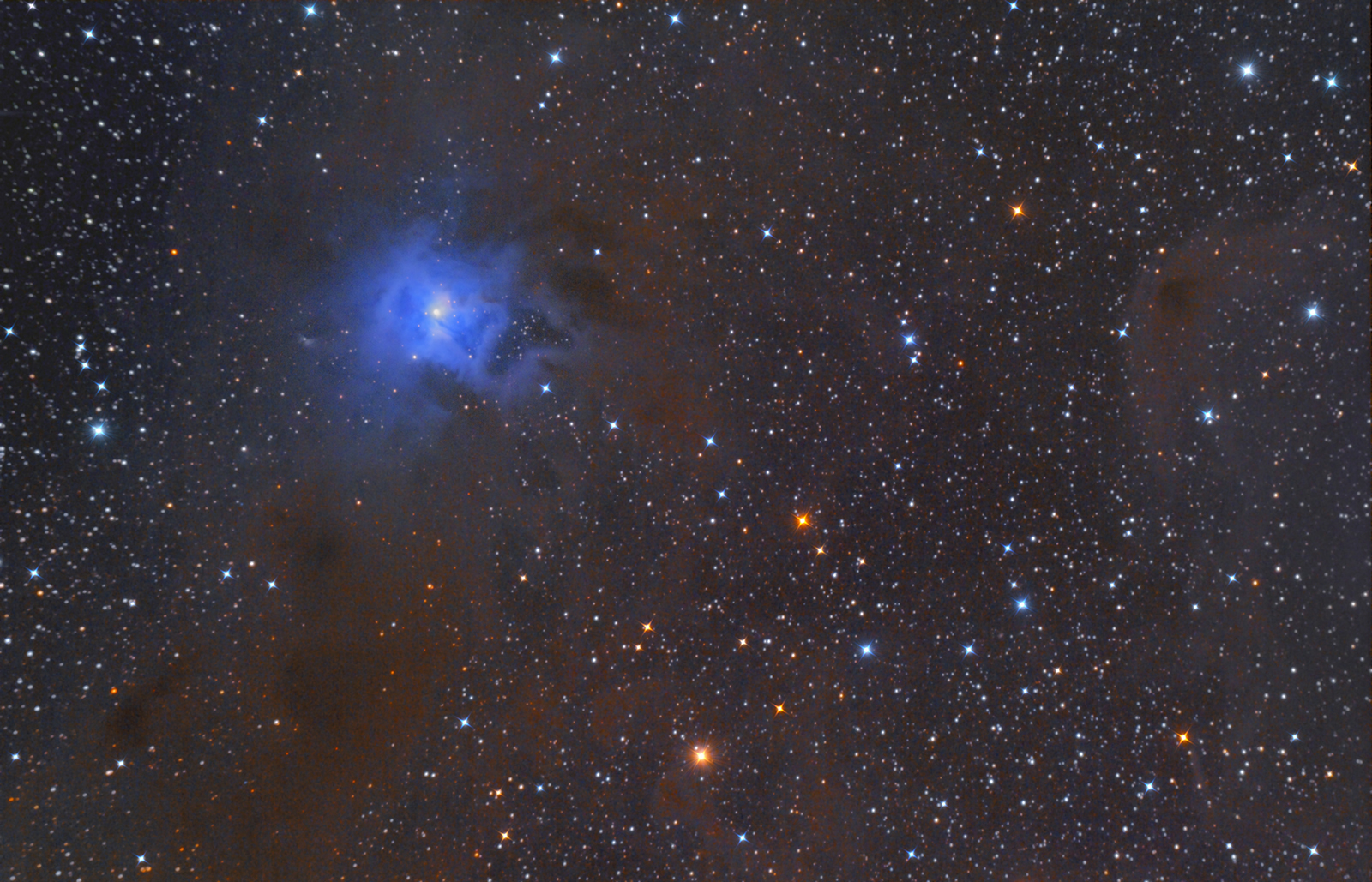 NGC 7023 nébuleuse de l'iris