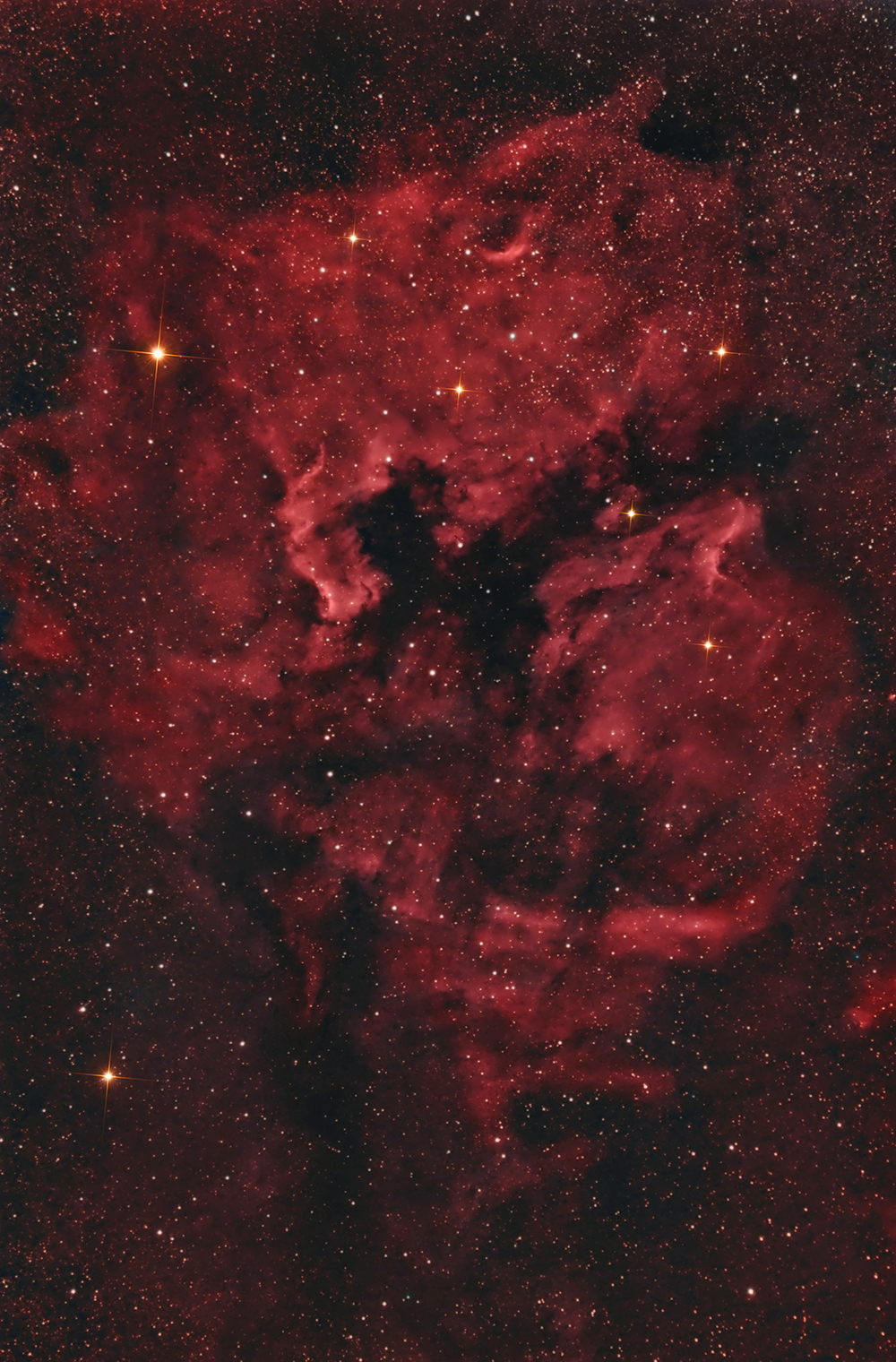NGC 7000 et IC 5067 Version Ha RVB 