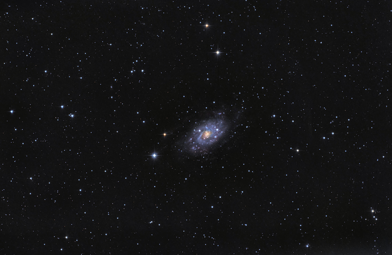 NGC 2403 ( Galaxie )