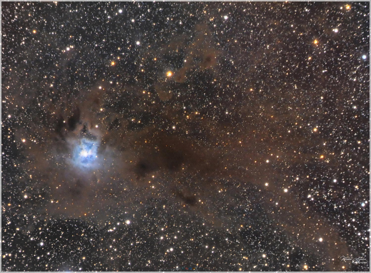 NGC 7023 - Nébuleuse de l'iris