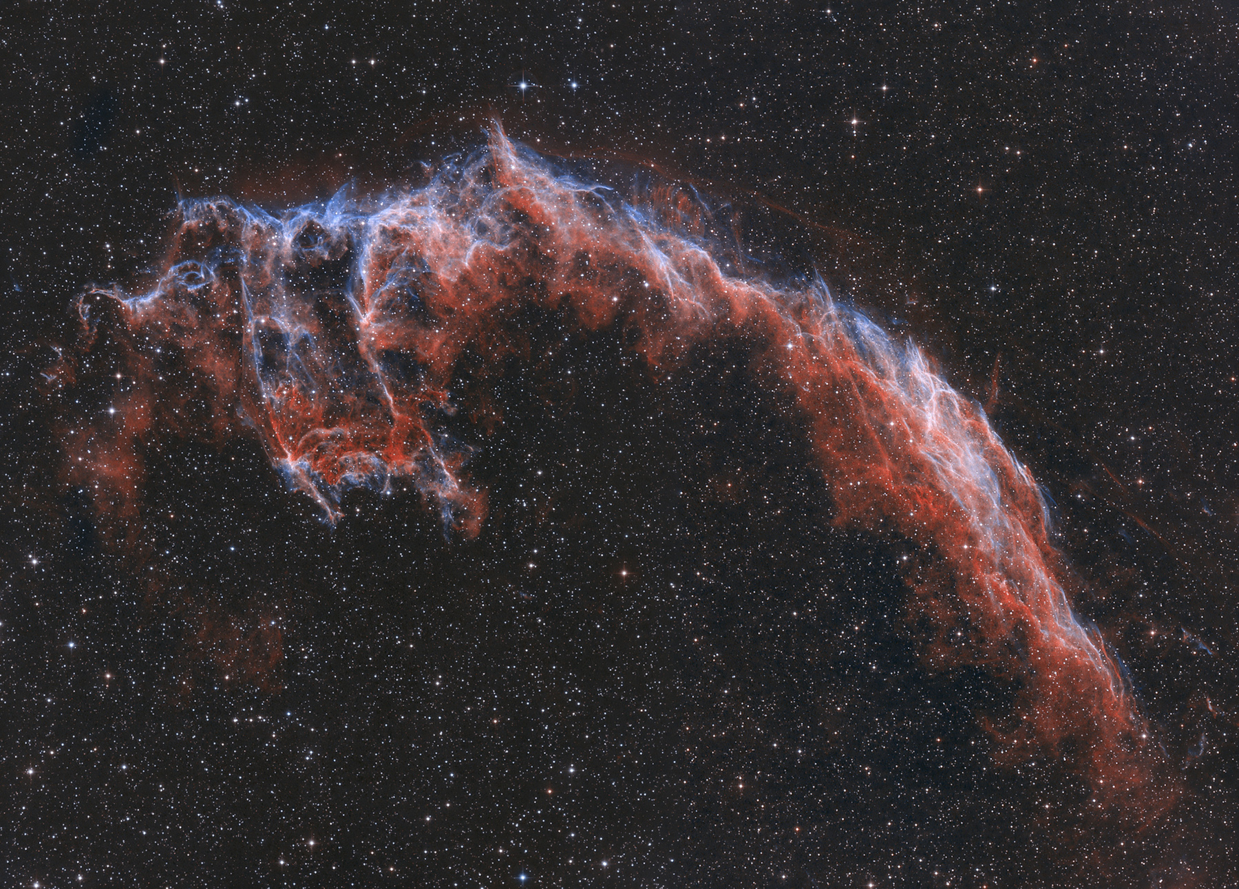 Nébuleuse des dentelles et de la Chauve Souris - NGC6995 et IC1340