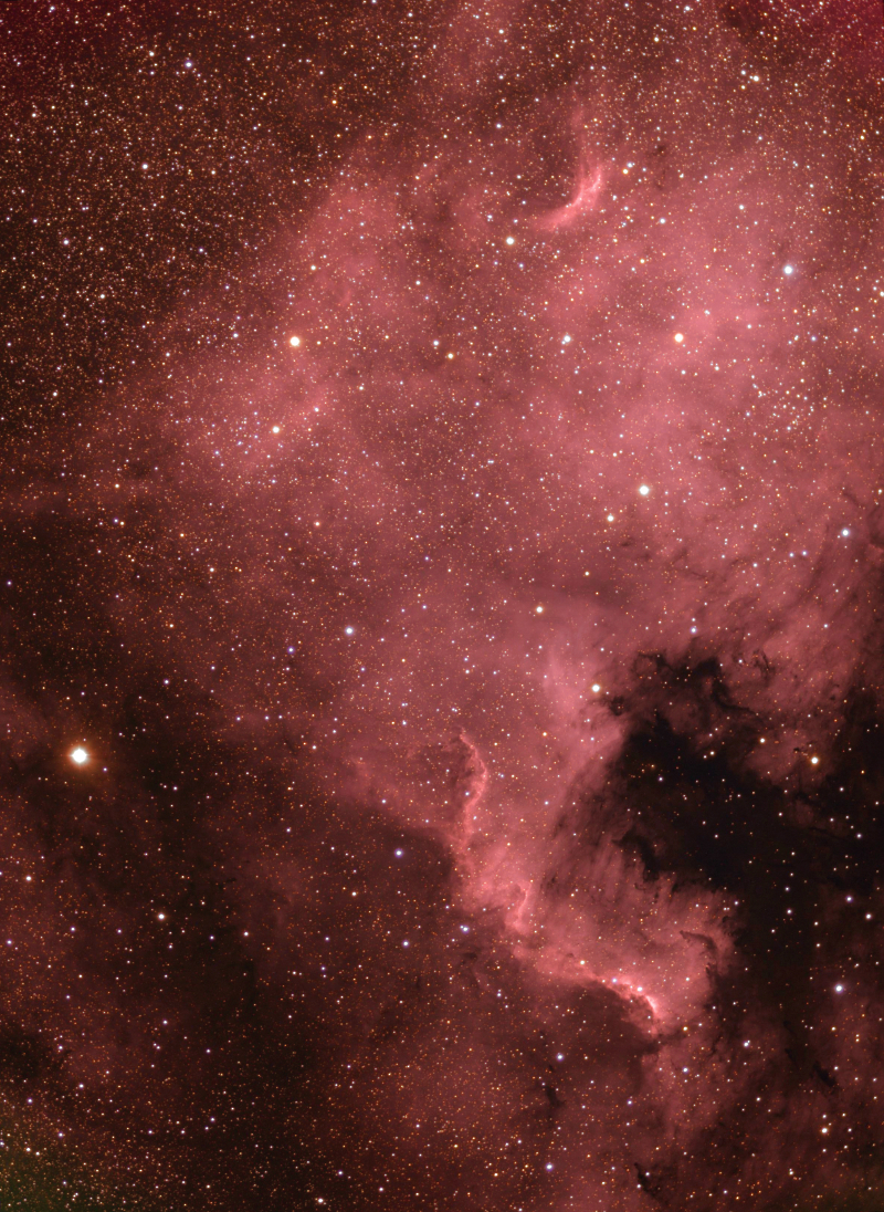 La nébuleuse North America (NGC 7000)