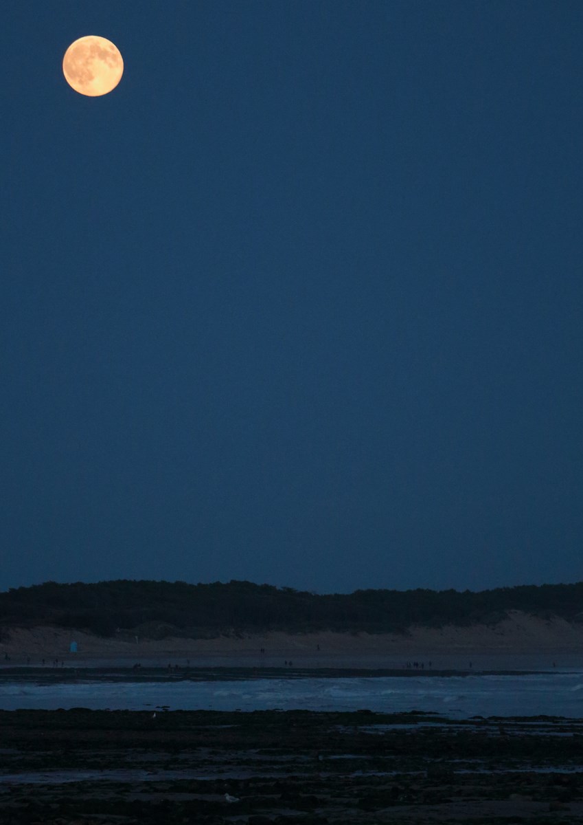 Pleine lune du 10 août 2014