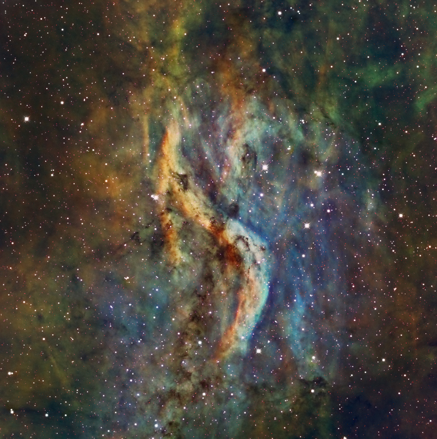X Nebula